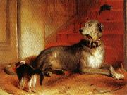 Sir edwin henry landseer,R.A. Lady Blessingham's Dog China oil painting reproduction